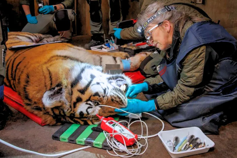 TB2025 06 07 Detaljen