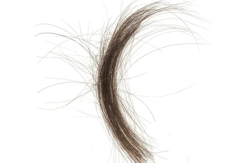 Hår