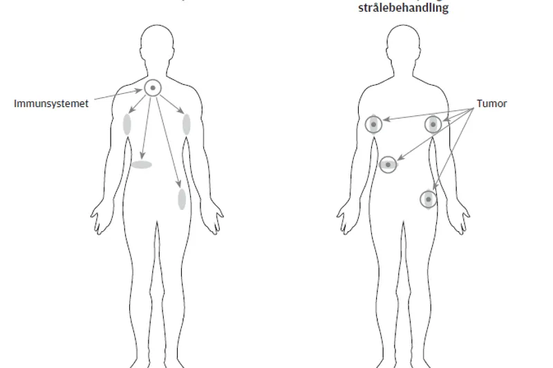 a495 fig. 1