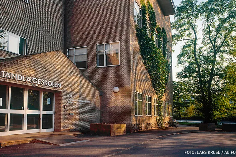TB2024 06 Web Tandlægeskolen