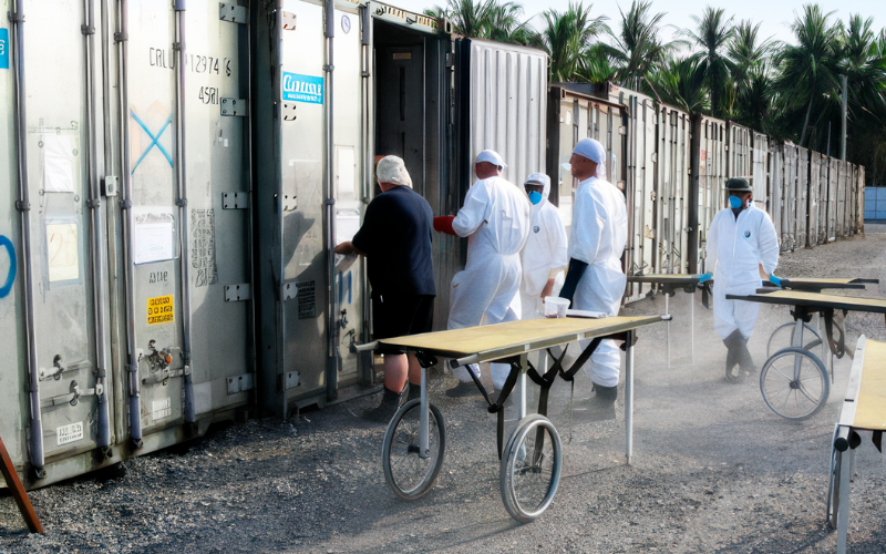 TB2026 01 Videnskabelig 01 (1)