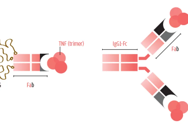 a480 fig. 1