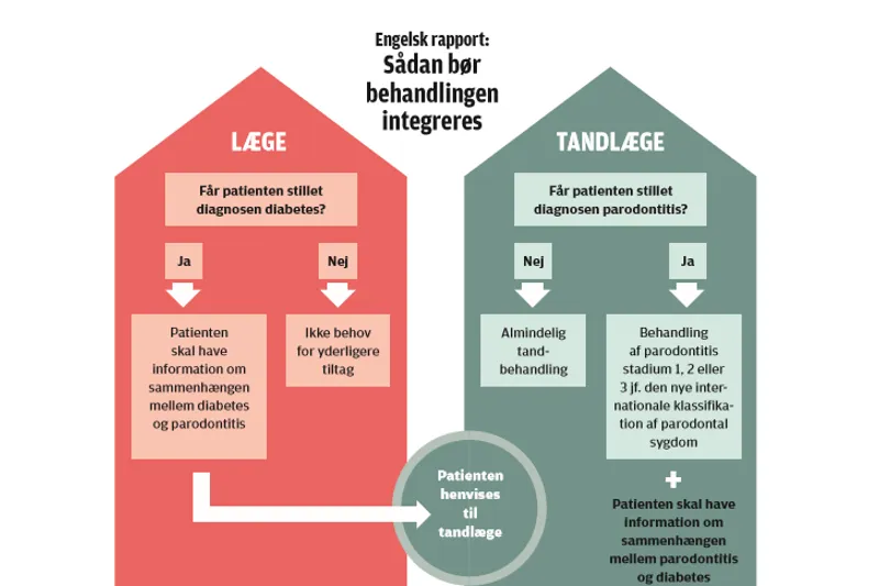 Engelsk rapport