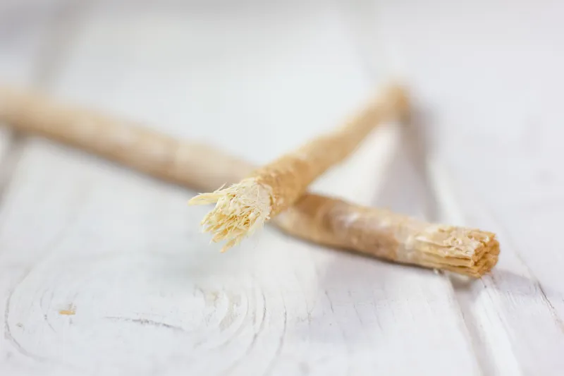 Miswaken verdens ældste tandbørste