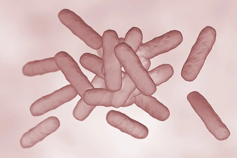 Tb2024 02 Forskningsnyt