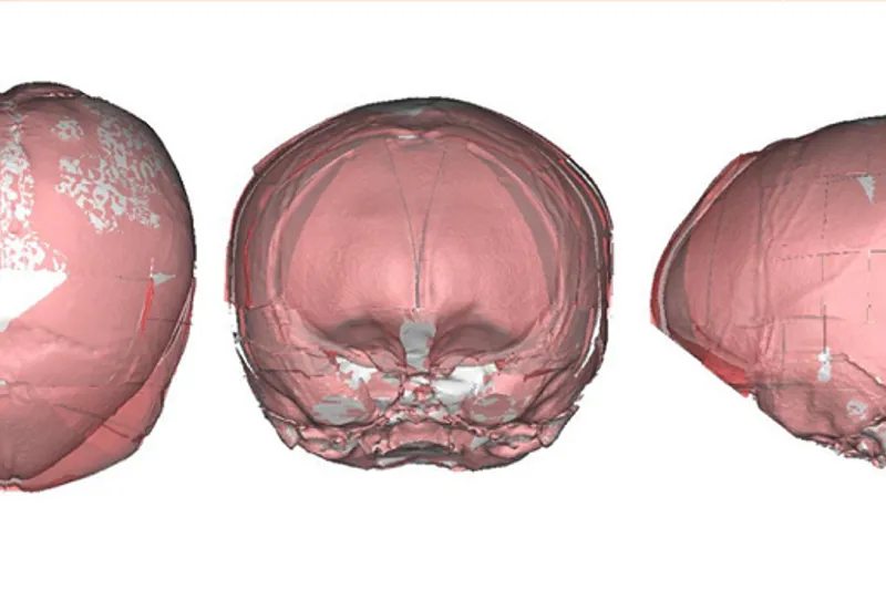 a662 fig.