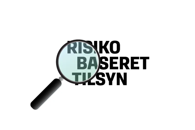 Risikobaseret tilsyn