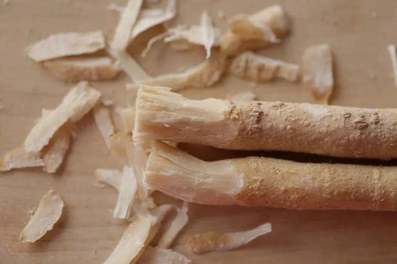 Tandbørstetræ miswak
